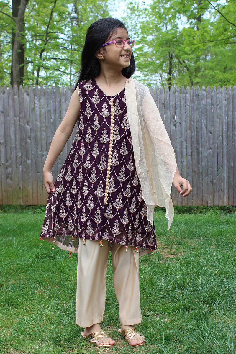 Pakistani Embellished Chiffon Purple Kids Dress