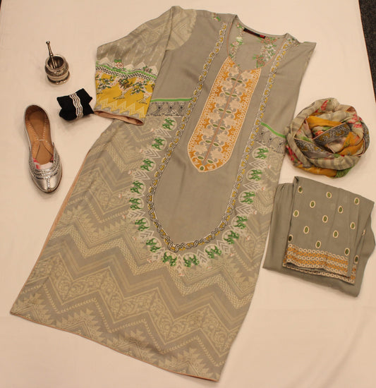 Pakistani Silver Lining Outfit