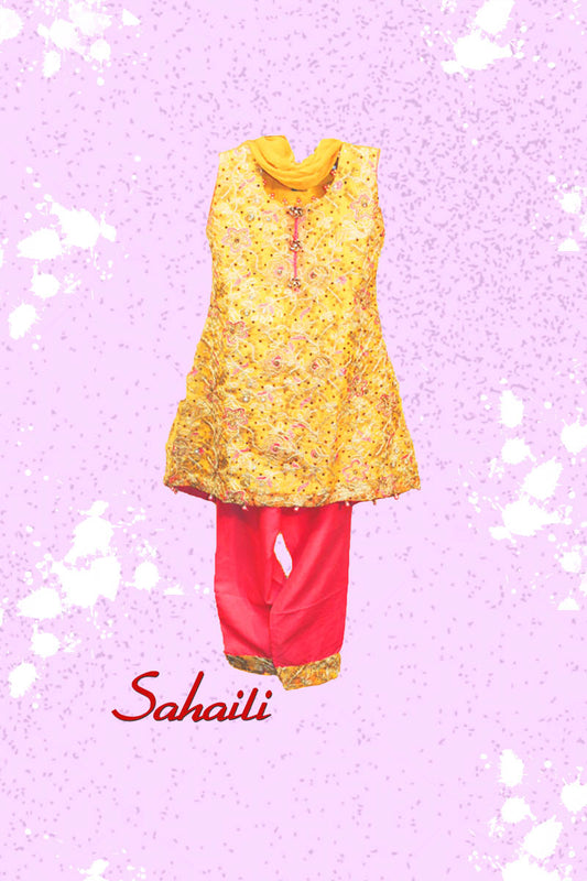 Pakistani Embroidered Chiffon Kids Dress
